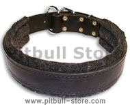 BUY 1.5 inch Leather Collar for Pitbull BUY 1.5 inch Leather Collar for Pitbull