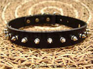Pitbull Leather Spiked Dog Collar-1 row with Silver Spikes