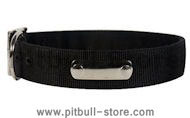 Buy 2 Ply Nylon Dog Collar w/h name tag/Metal Buckle