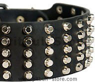 3 inch Studded Leather Dog Collar for Pitbull 3 inch Studded Leather Dog Collar for Pitbull