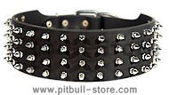 approx. 3 INCH LEATHER SPIKED COLLAR for Pitbull
