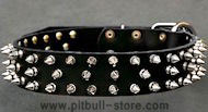 Black Spiked Leather Dog Collar for Pitbull Black Spiked Leather Dog Collar for Pitbull