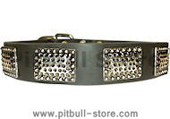 NEW LEATHER DOG COLLAR For PITBULLS with Vintage Plates