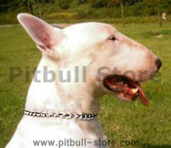 Bull Terrier Chain Choke dog collar for English Bull Terrier Bull Terrier Chain Choke dog collar for English Bull Terrier