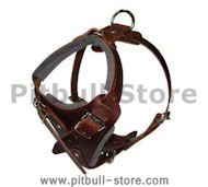 Comfort Padded Dog Harness for Pitbull Comfort Padded Dog Harness for Pitbull