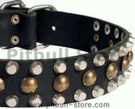 Custom Studded Leather Dog Collar for Pitbull Custom Studded Leather Dog Collar for Pitbull