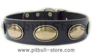 Designer Dog Collar - Exclusive Leather Collar for Pitbull C103