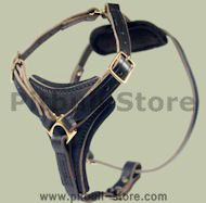 Dog Chest Harness for Pitbull -Leather harness Dog Chest Harness for Pitbull -Leather harness
