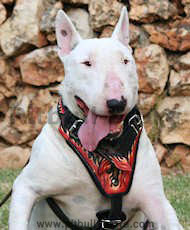 Bull Tterrier designer leather dog harness- Hand painted harness