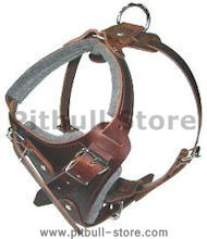 Dog Body Harness for Pitbull-BEST Leather Dog Harness Dog Body Harness for Pitbull-BEST Leather Dog Harness