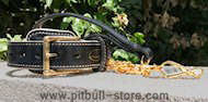 Exclusive Set-Leather Dog Collar+Exclusive HS Gold plated leash