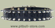Double Row Spiked Collar for Pitbull- Leather Spike Collar Double Row Spiked Collar for Pitbull- Leather Spike Collar