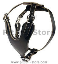 Leather Dog Harness for Pitbull - Durable Pit Bull Harnesse