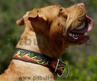 Pitbull Dog Collar - Leather Dog Collar For American Pitbull