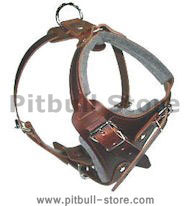 SIMILAR to Gappay Leather Defense Harness for Pitbull SIMILAR to Gappay Leather Defense Harness for Pitbull