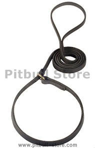 Leather Slip Lead 6 FT on 1/2'' for Pitbull