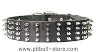 2 inch wide Leather Spiked Dog Collar for Pitbull