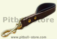 1 IN DOG TRAINING TRAFFIC LEAD