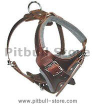 Medium dog Harness for PItbull -Leather Harness Medium dog Harness for PItbull -Leather Harness