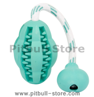 Looking for NYLABONE TOY FOOTBALL DOG TOY CHEW TEETHING Pitbull