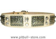 PITBULL LEATHER DOG COLLAR with Studs and Vintage Plates- C85
