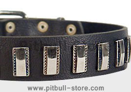 Ornament Dog Collar made of leather for Pitbull