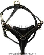 PITBULL Dog Walking Harness H3 PITBULL Dog Walking Harness H3