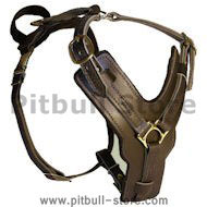 PITBULL Padded Dog Harness H10