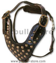 PITBULL Studded Leather Dog Harness -H15