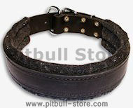 Best Padded Leather dog collar - 1.5 inch (3.8cm) width - C24