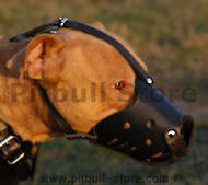 Pitbull Everyday Leather Muzzle
