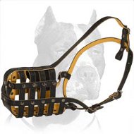 Padded Leather Super Ventilation Muzzle for Pitbull