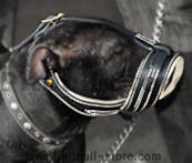 Pitbull Royal Nappa Padded Leather Muzzle