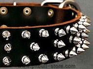 Protector Full Spiked Latigo Dog Collar for Pitbull Protector Full Spiked Latigo Dog Collar for Pitbull