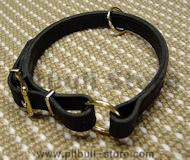 Adjustable Leather Slip Collar w/h solid BRASS Hardware Pitbull