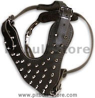 Order Now Spike Dog Harness Manufacturers