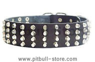 Wide Studded Leather Dog Collar-2 inch wide for Pitbull
