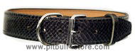 Leather Dog Collar for Pitbull - APBT designer dog collar