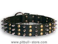 best leather s[iked dog colalr with studs