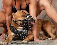 BEST Spiked Dog Harness with Spiked Dog Muzzle for PITBULL