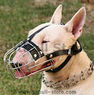 English Bull Terrier Wire Basket dog muzzle- best dog muzzle