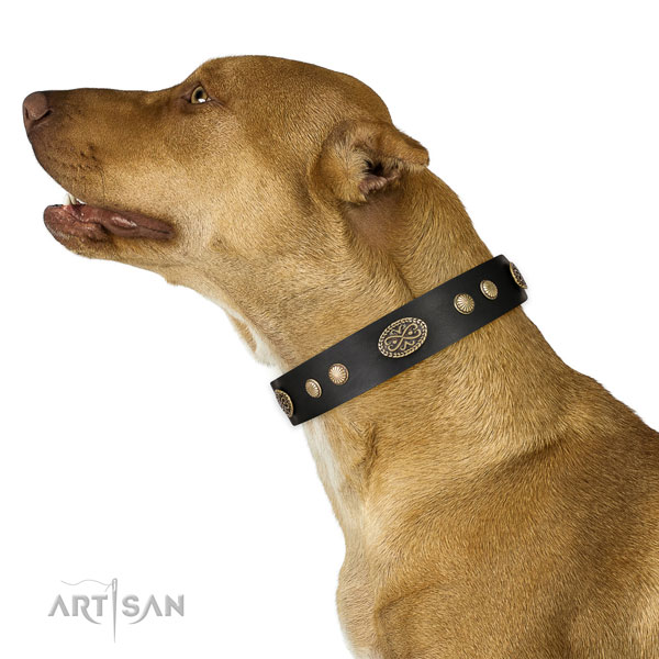 Durable hardware on full grain leather dog collar for stylish walking