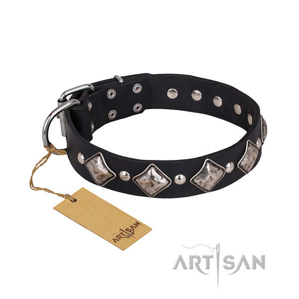 Long-lasting leather dog collar with non-corrosive details