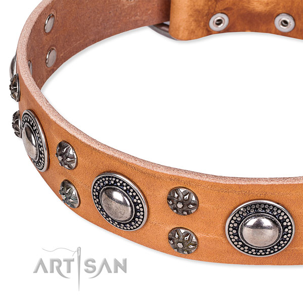 Easy to use leather dog collar with resistant to tear and wear durable hardware