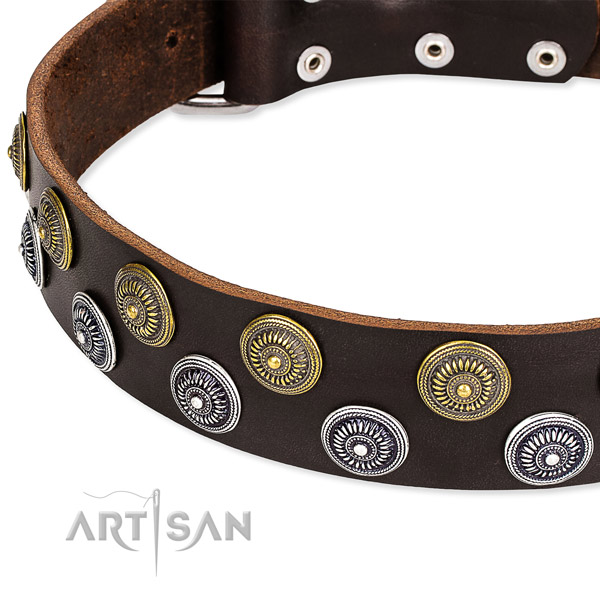 Easy to adjust leather dog collar with almost unbreakable rust-proof hardware