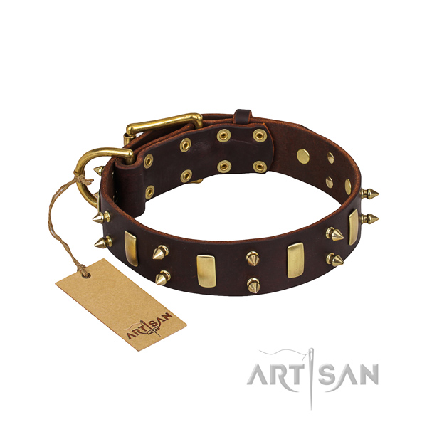 Dependable leather dog collar with rust-resistant fittings