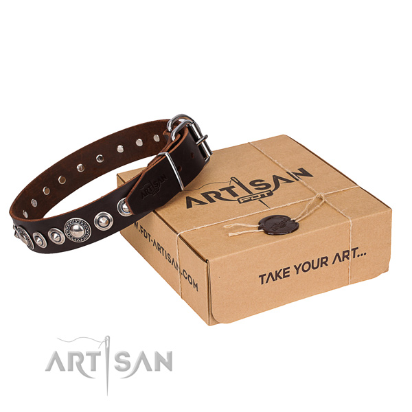 Impressive natural genuine leather dog collar for walking in style