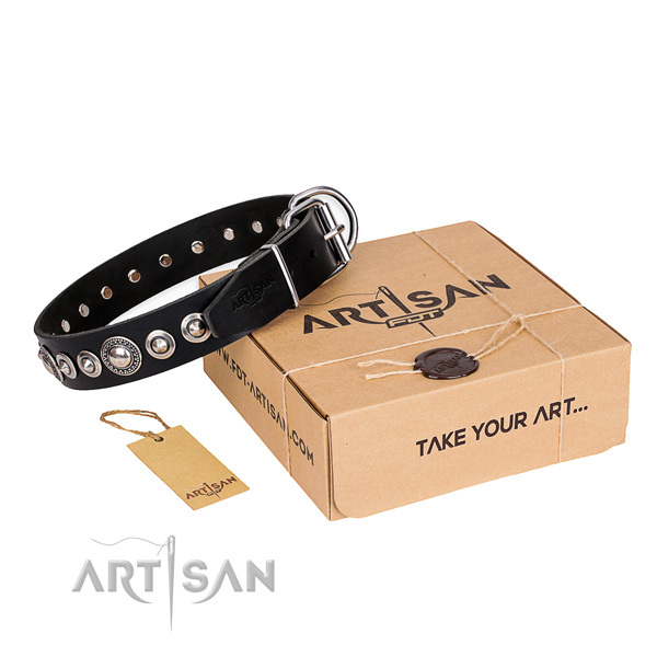 Incredible full grain natural leather dog collar for everyday walking