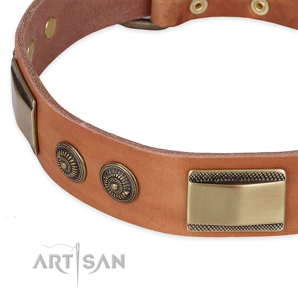 Walking genuine leather collar with reliable buckle and D-ring