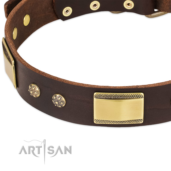 Stylish walking natural genuine leather collar with strong buckle and D-ring